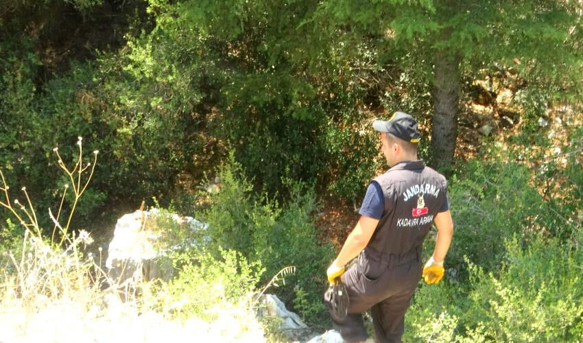 Alzaymır hastası Sabriye Dedeoğlu 8 gündür kayıp Alzaymır hastası Sabriye Dedeoğlu 8 gündür kayıp - 1. Resim