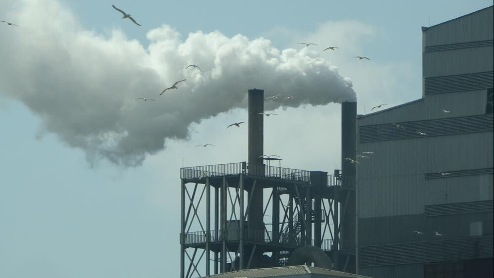 Trabzon Araklı'da çöp tesisinden dereye akıtılan su köy sakinlerini çileden çıkarttı! Kötü koku ve hastalık saçıyor Trabzon Araklı'da çöp tesisinden dereye akıtılan su köy sakinlerini çileden çıkarttı! Kötü koku ve hastalık saçıyor - 2. Resim