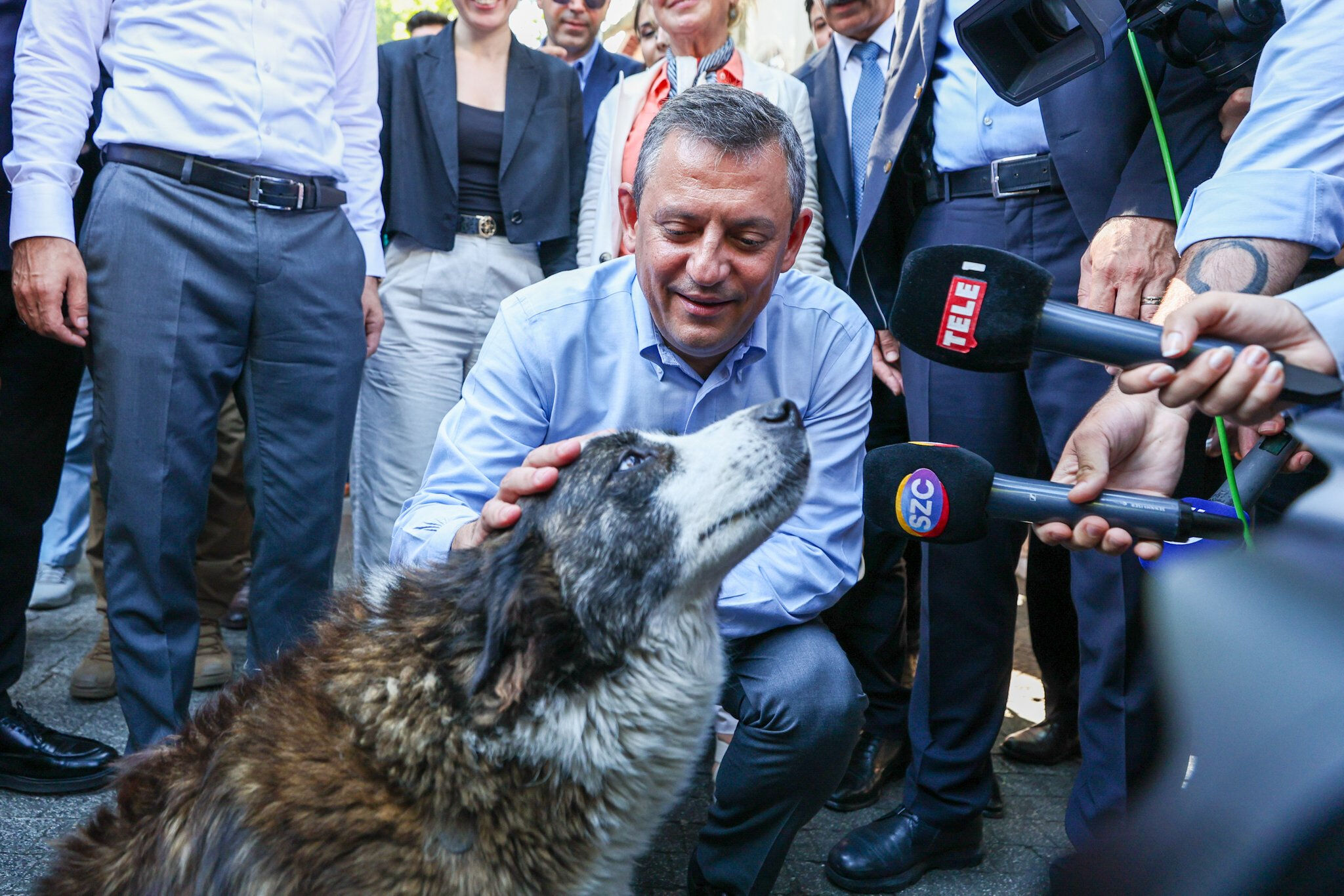 Özgür Özel sokak köpeği ile konuştu Özgür Özel sokak köpeği ile konuştu - 1. Resim