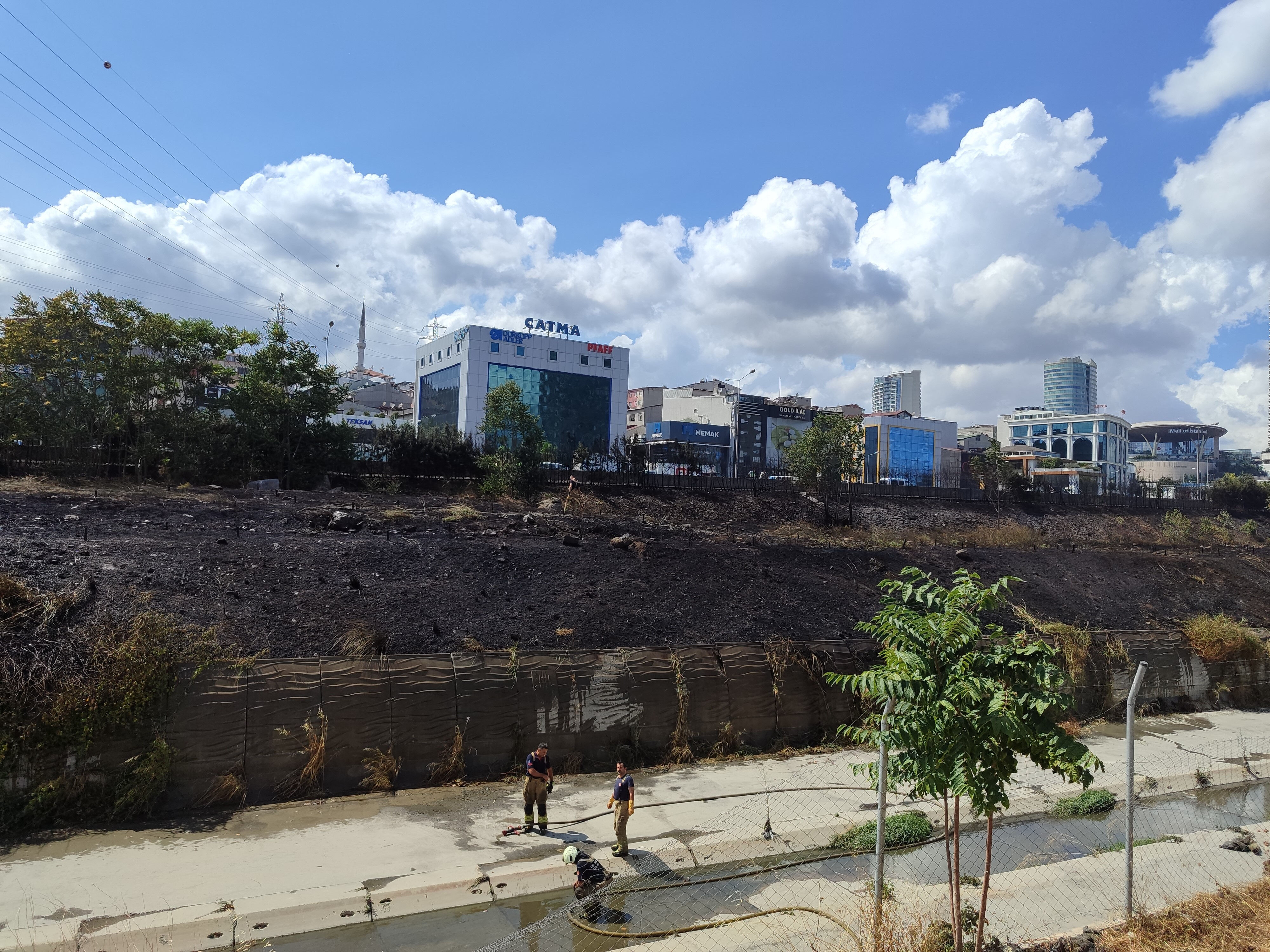 Basın Ekspres'i alevlere teslim ettiler! İki kişi ağaçları yakıp kaçtı - 1. Resim