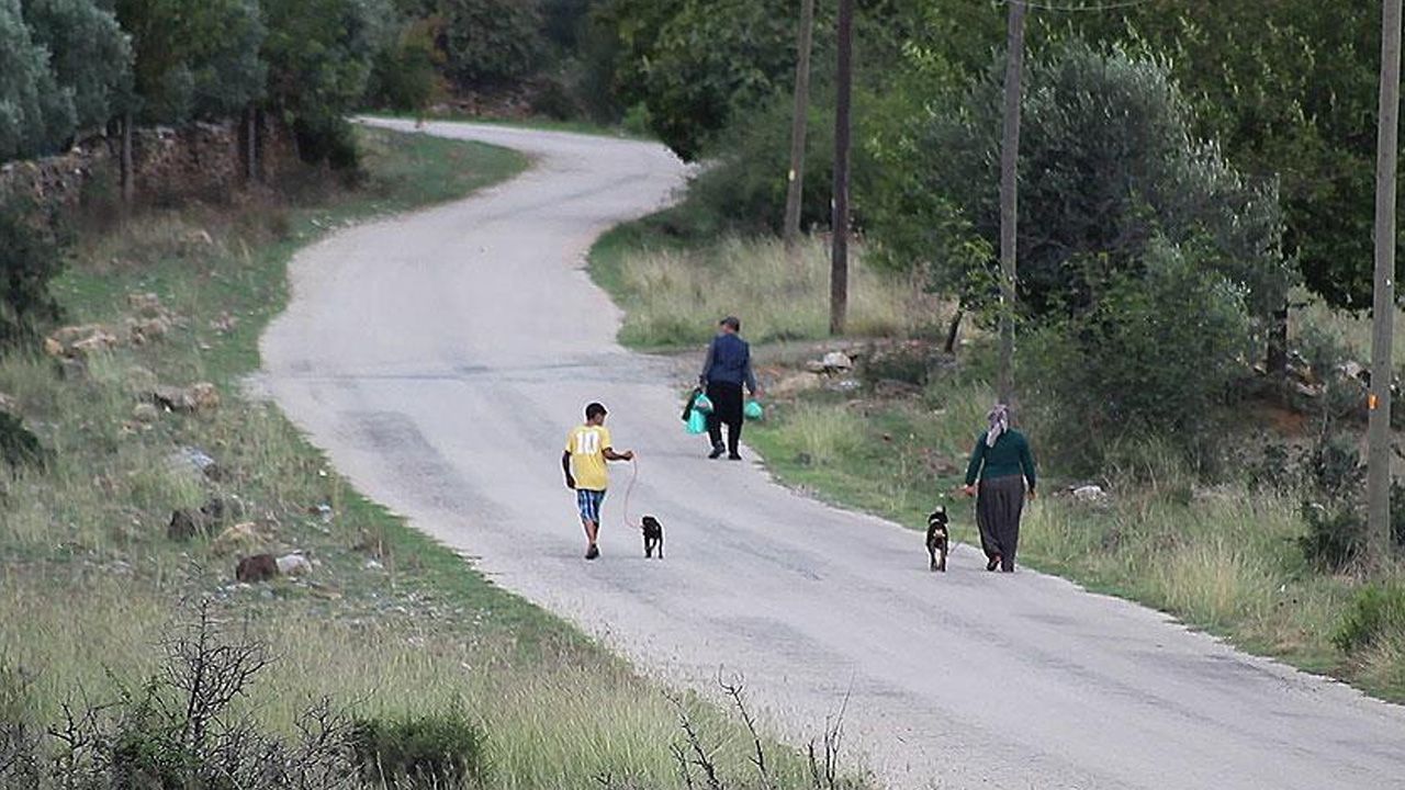 Kuduz alarmı verildi, bir mahalle ve köye hayvan giriş çıkışları yasaklandı