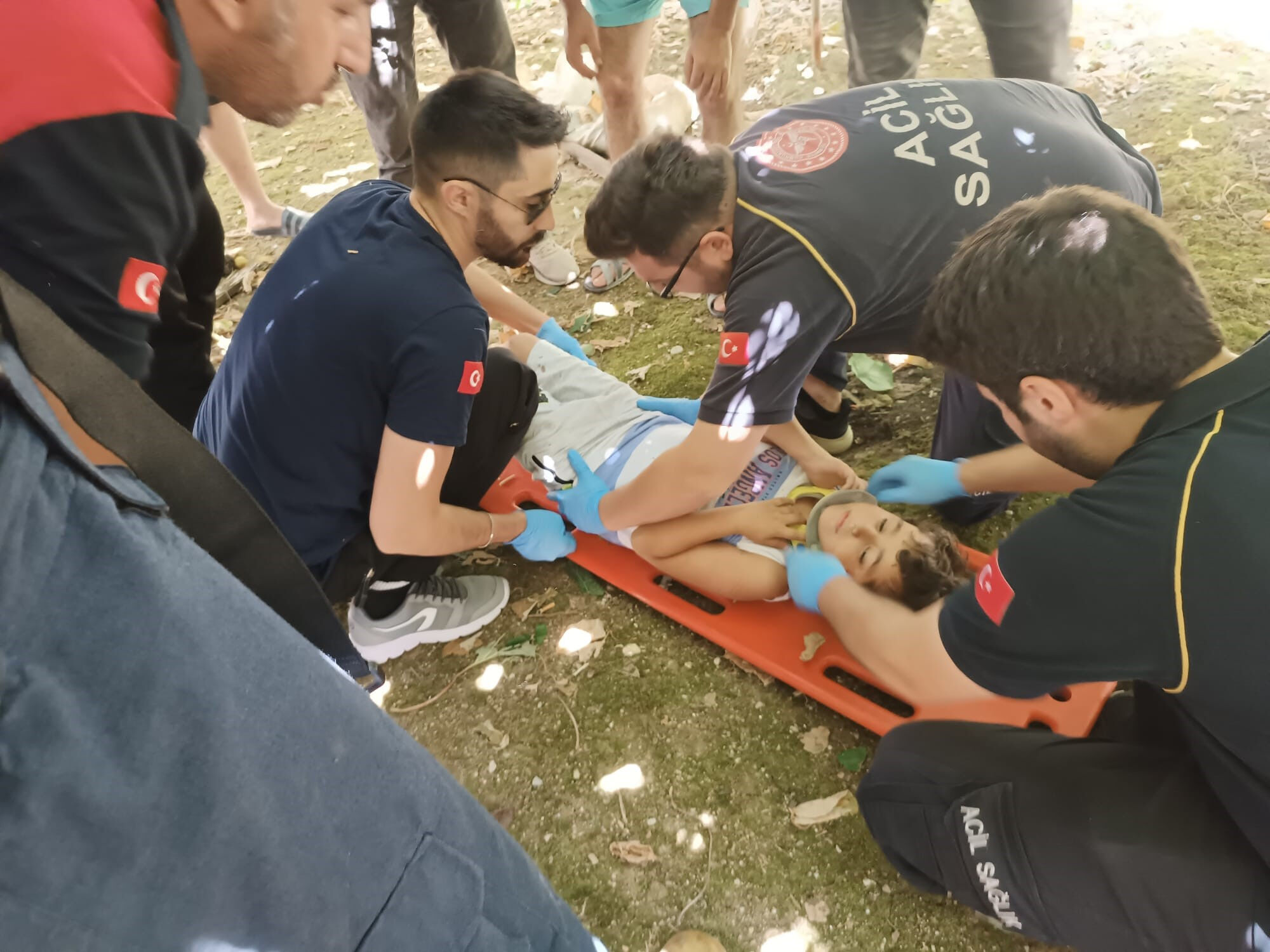 Yalova'da inanılmaz olay! 8 yaşındaki &ccedil;ocuk 'kivi asması' sayesinde hayatta kaldı - 2. Resim