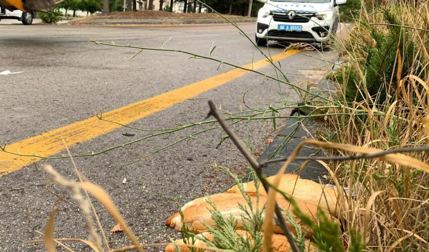 18 yaşındaki Rukiye’nin feci sonu! Aldığı ekmeği yiyemeden öldü - 3. Resim