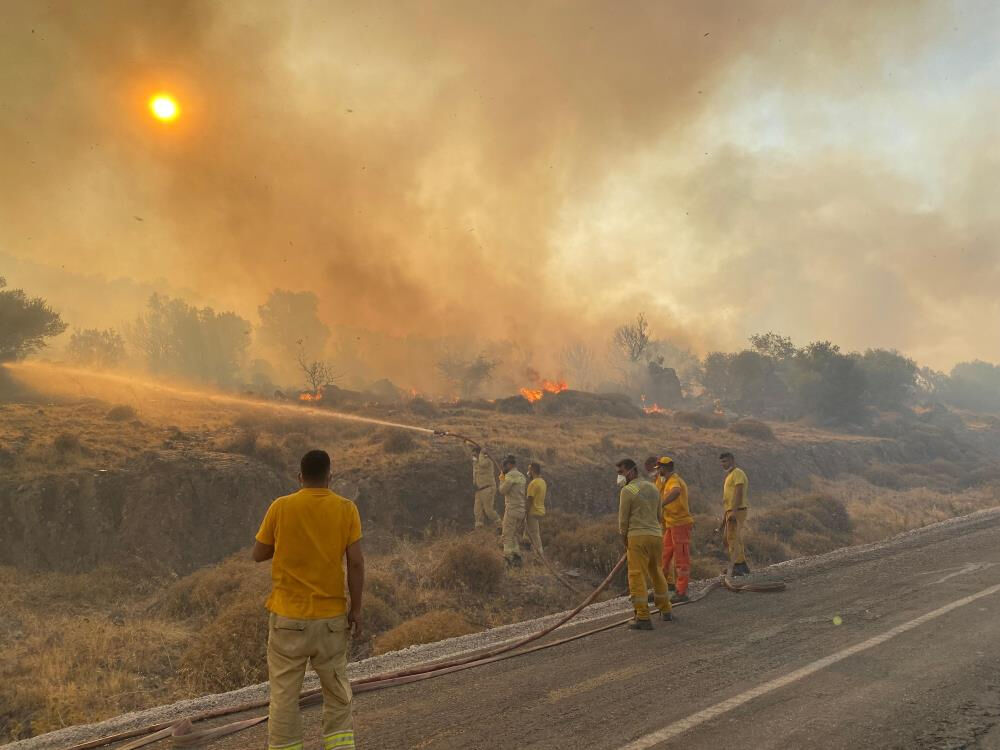 İzmir Dikili'deki orman yangınında yerleşim yerleri tehlike altında! 4 uçak, 5 helikopter ve 11 arazöz sahada - 1. Resim