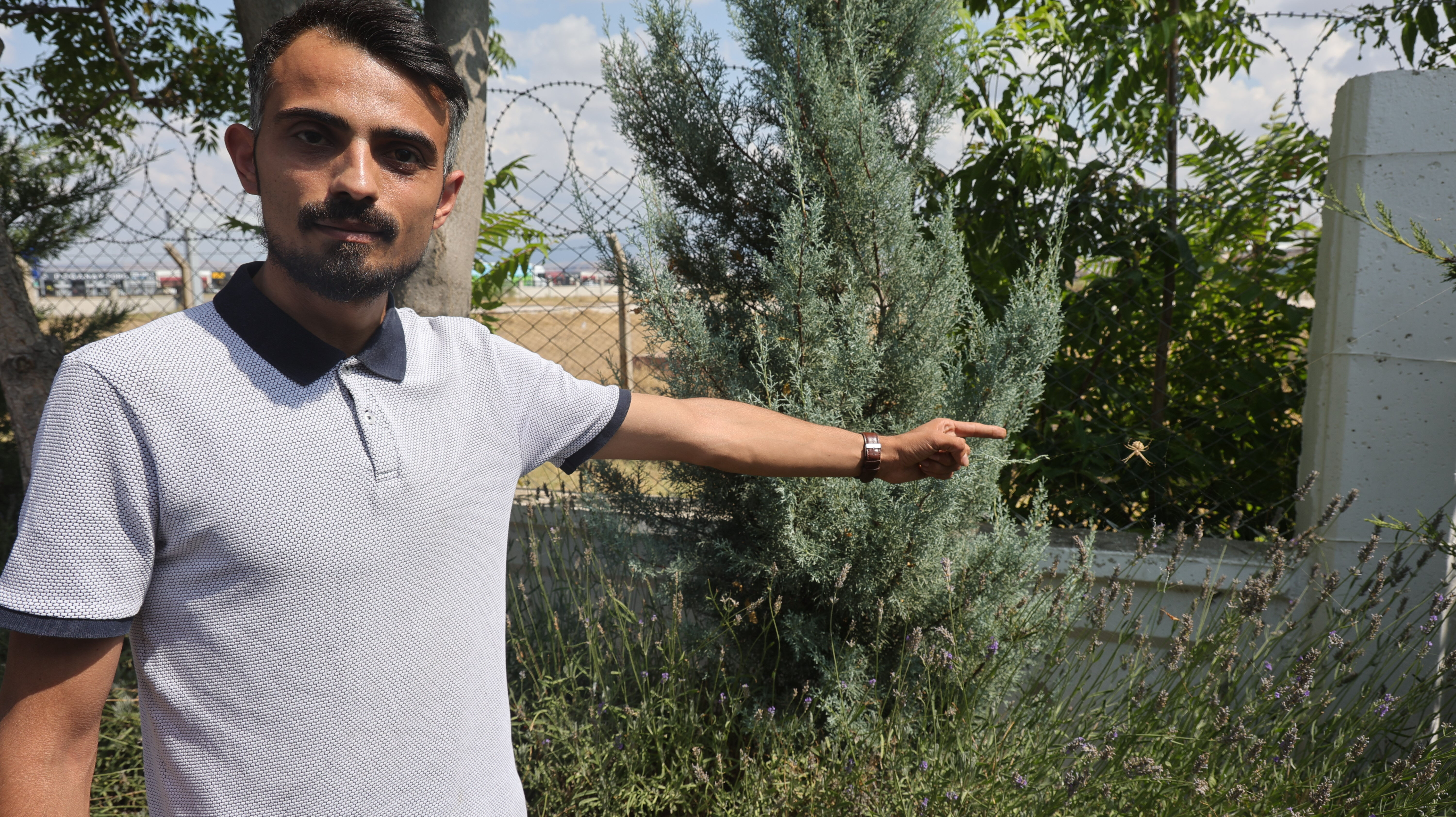 Dünyanın en zehirli örümceklerinden! Türkiye'de yayılıyor, vatandaşlar tedirgin - 1. Resim