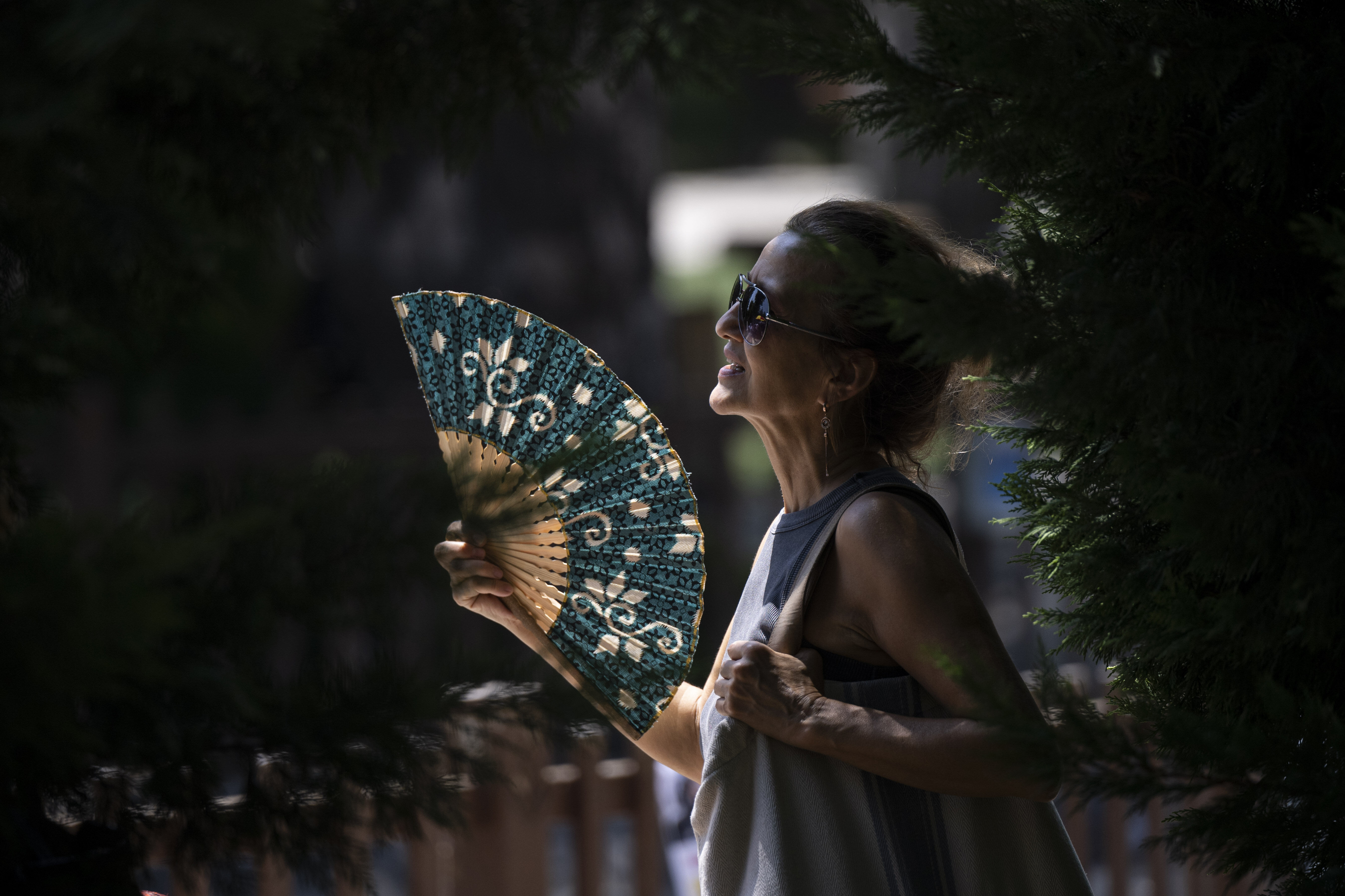 Eyyam-ı bahur sıcaklarına son dört gün! Rekorlar peş peşe gelecek - 1. Resim