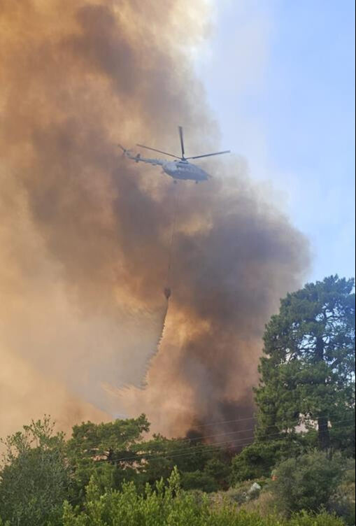 Antalya, Gaziantep, Kahramanmaraş ve Yalova'da alevler yükseldi! Çok sayıda ekip olay yerinde - 1. Resim