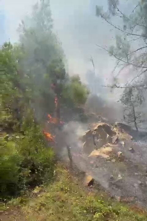 Antalya, Gaziantep, Kahramanmaraş ve Yalova'da alevler yükseldi! Çok sayıda ekip olay yerinde - 2. Resim