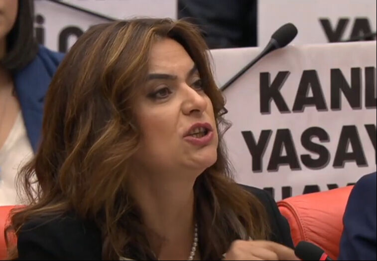 DEM Partili Gülüstan Kılıç Koçyiğit PKK destekçilerini savunmak için skandal sözlerle Meclis'i tehdit etti: Davul zurnayı getirir, Meclis bahçesinde halay çekeriz DEM Partili Gülüstan Kılıç Koçyiğit PKK destekçilerini savunmak için skandal sözlerle Meclis'i tehdit etti: Davul zurnayı getirir, Meclis bahçesinde halay çekeriz - 1. Resim