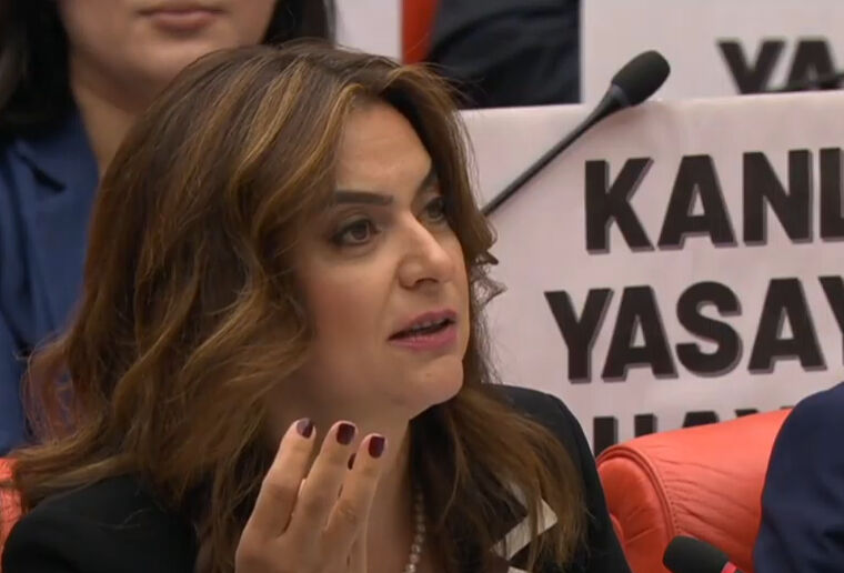 DEM Partili Gülüstan Kılıç Koçyiğit PKK destekçilerini savunmak için skandal sözlerle Meclis'i tehdit etti: Davul zurnayı getirir, Meclis bahçesinde halay çekeriz DEM Partili Gülüstan Kılıç Koçyiğit PKK destekçilerini savunmak için skandal sözlerle Meclis'i tehdit etti: Davul zurnayı getirir, Meclis bahçesinde halay çekeriz - 2. Resim