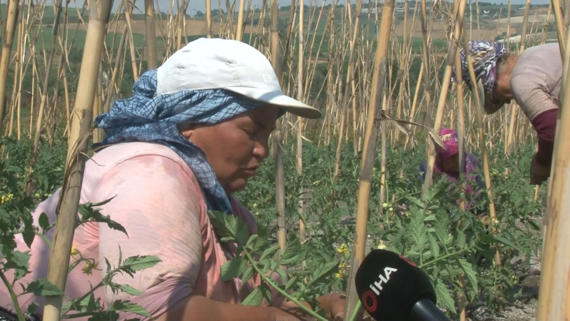 Kulaktan kulağa yayıldı... İstanbullu Arnavutköy'deki tarla pazarına koşuyor - 1. Resim