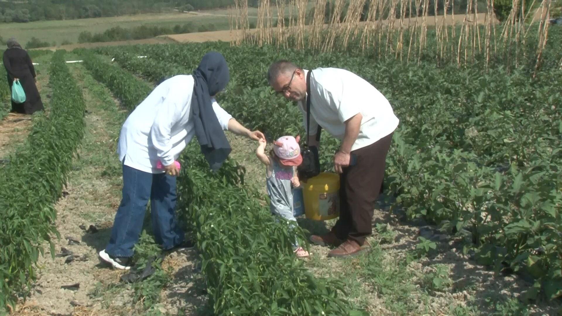 Kulaktan kulağa yayıldı... İstanbullu Arnavutköy'deki tarla pazarına koşuyor - 2. Resim