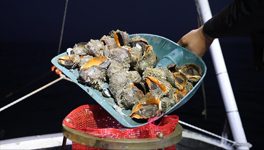 Türkiye'de tüketilmiyor! Ekonomiye 6 ayda 8.4 milyon dolar kazandırdı - 1. Resim