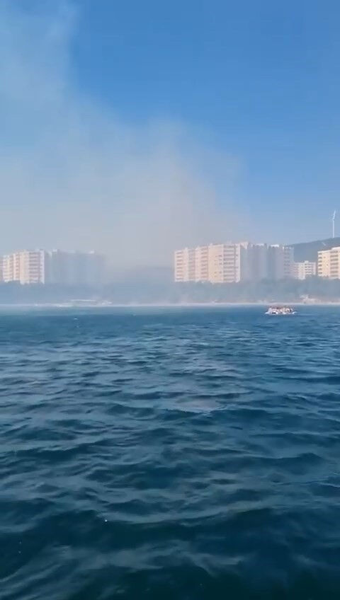 Yalova Armutlu ilçesinde 2 yangın birden çıktı! Havadan ve karadan müdahaleler devam ediyor Yalova Armutlu ilçesinde 2 yangın birden çıktı! Havadan ve karadan müdahaleler devam ediyor - 2. Resim