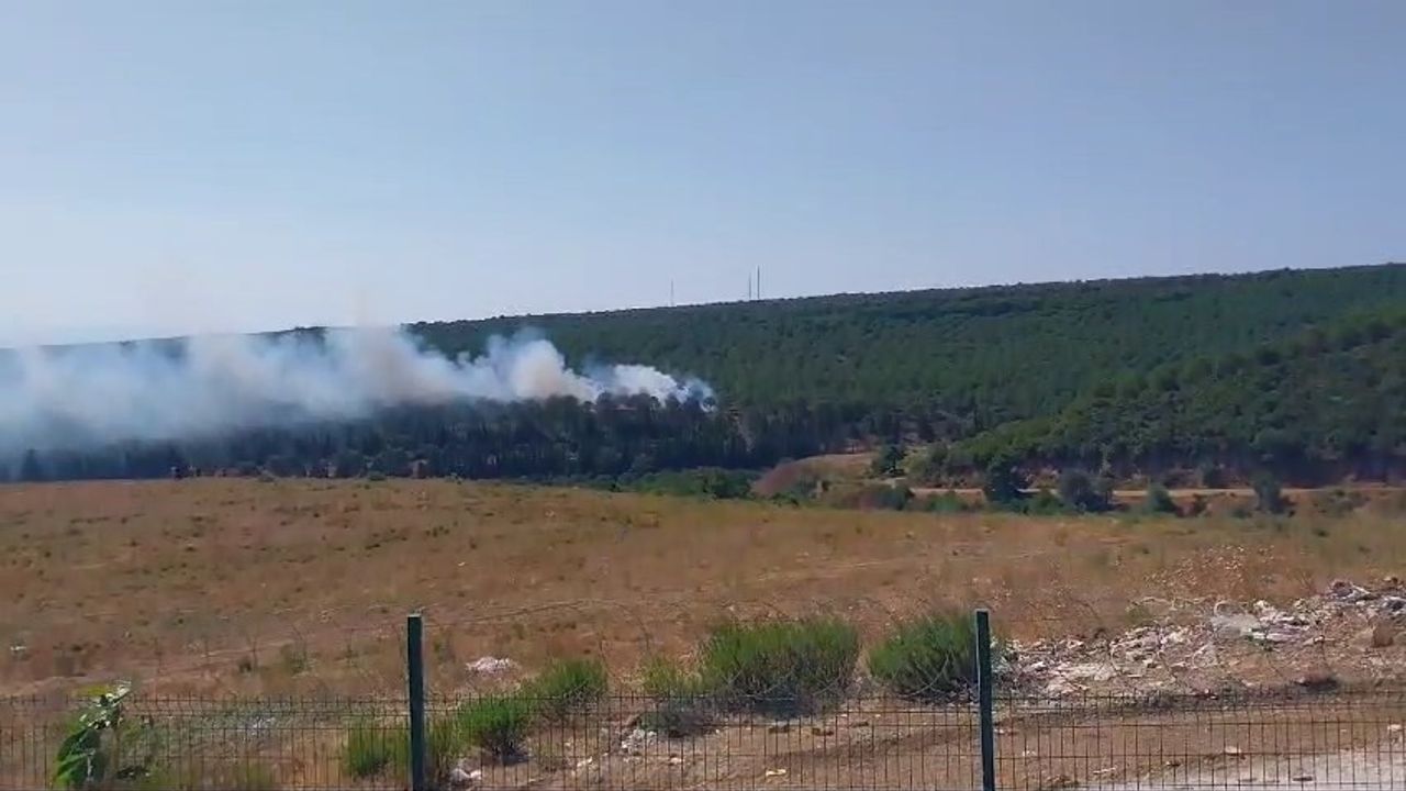 Yalova Armutlu ilçesinde 2 yangın birden çıktı! Havadan ve karadan müdahaleler devam ediyor