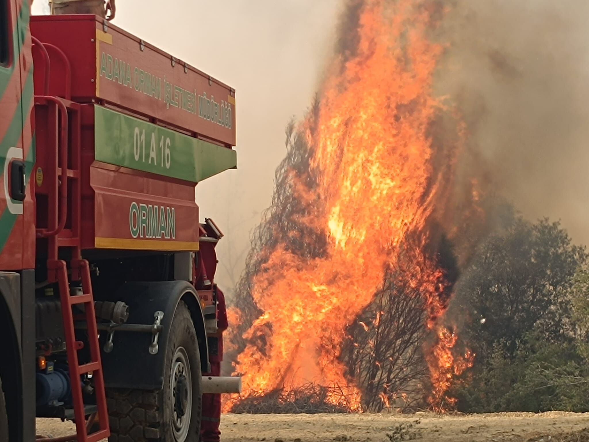 Adana Kozan'da orman yangını! Birçok ev tahliye edildi, ekipler olay yerinde - 1. Resim