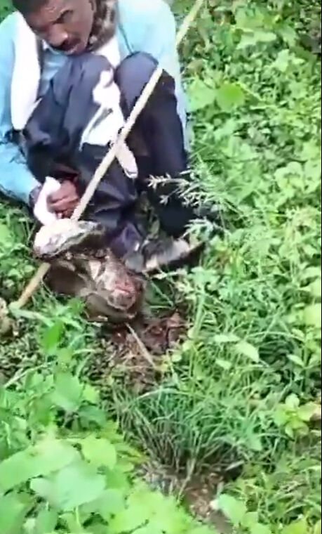 Akıllara durgunluk veren olay! Tuvaletini yapan adamın boynuna 5 metrelik yılan dolandı - 2. Resim