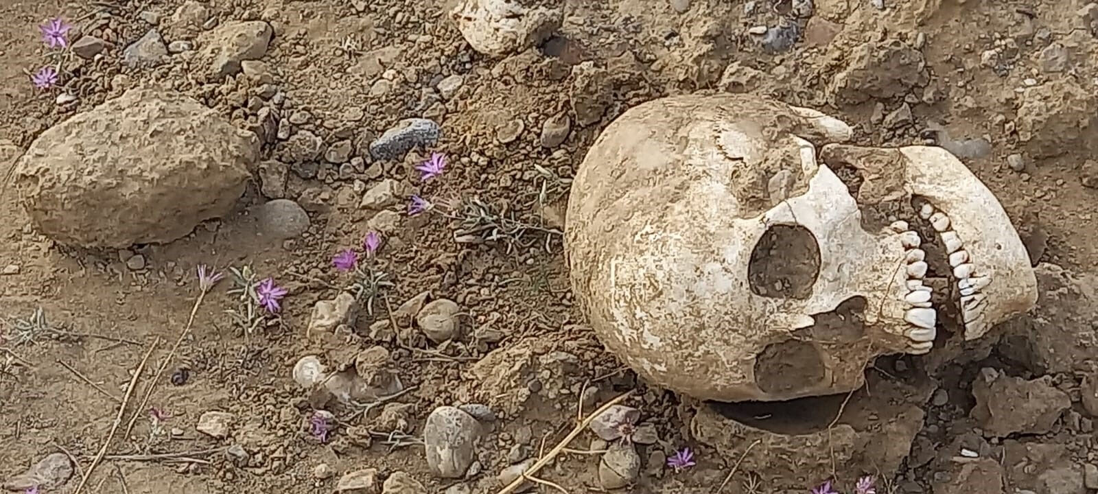 Gümüşhane Kelkit'te gizemli olay! Yol ortasında insan kafatası bulundu - 1. Resim