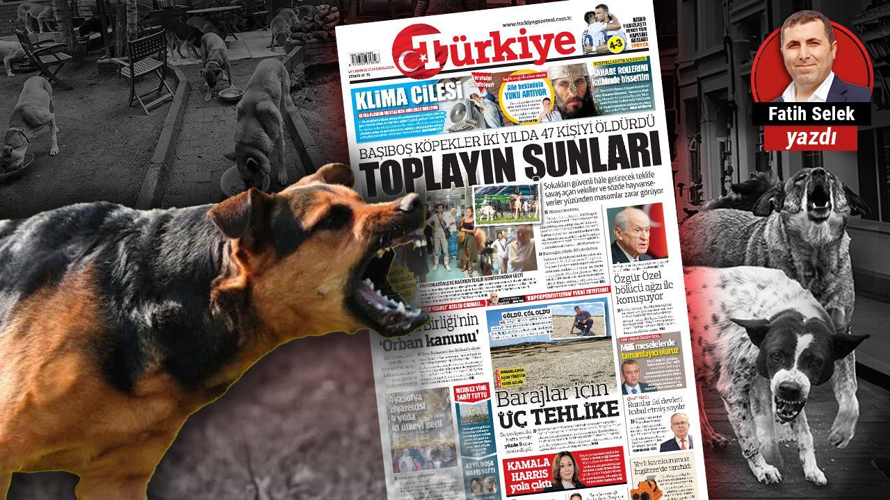 İtiraf ediyorum; köpek operasyonunu nasıl çektik?