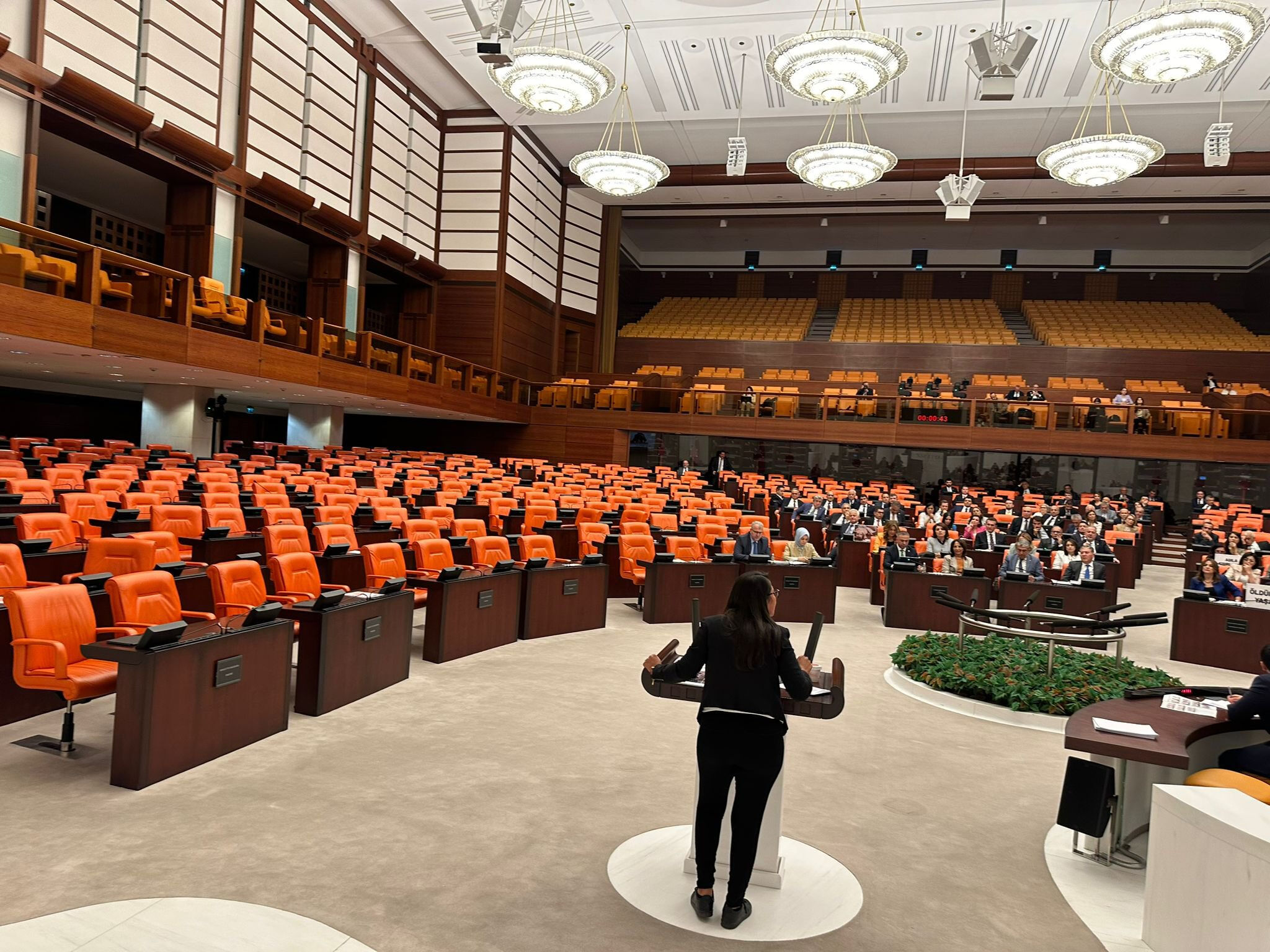 Meclis'te Sera Kadıgil'e protesto! Vekiller salonu terk etti, boşluğa konuştu - 1. Resim