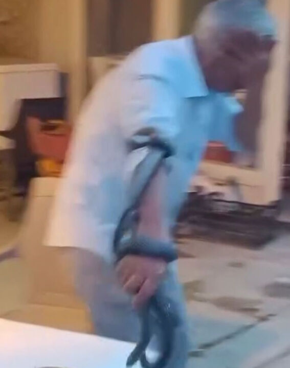 Koynunda beslediği yılan tarafından ısırıldı! Korkunç anlar kamerada - 1. Resim