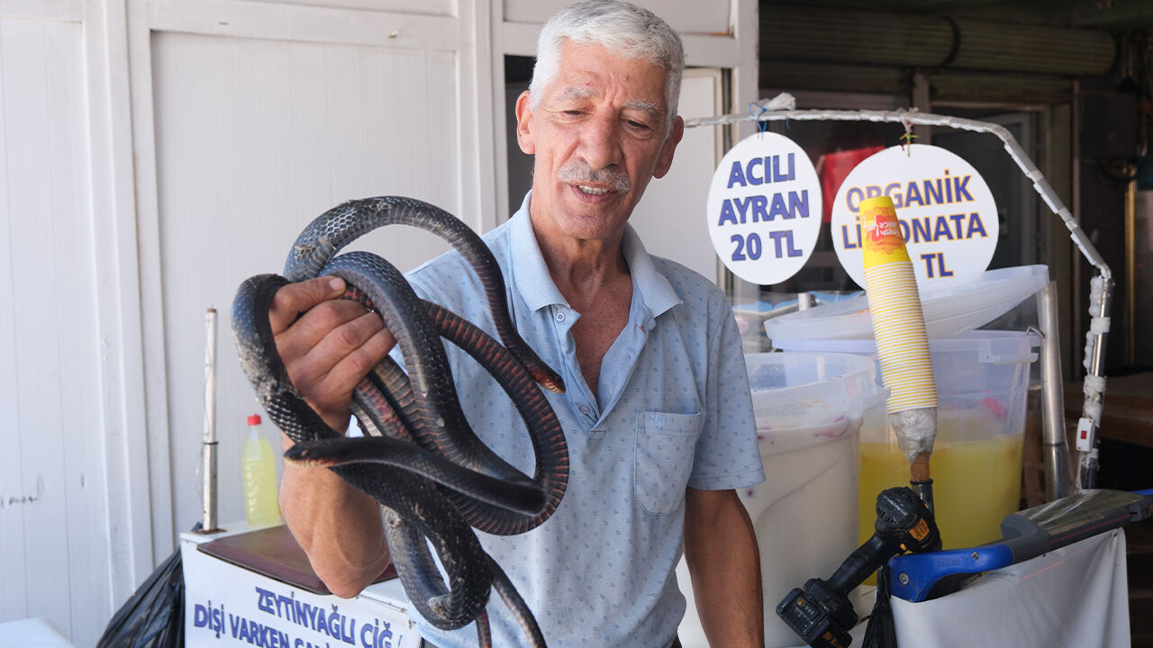 Koynunda beslediği yılan tarafından ısırıldı! Korkunç anlar kamerada - 2. Resim