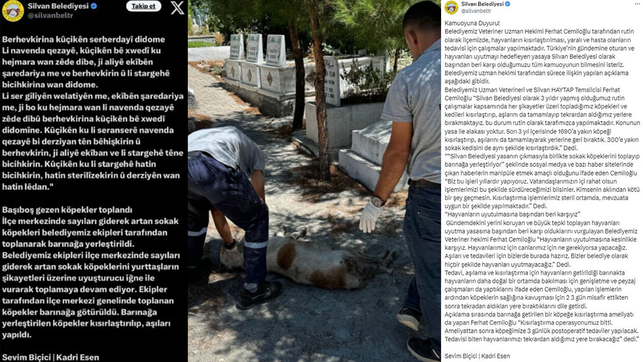 Sahipsiz köpekleri toplayan Silvan Belediyesi tepkilerin ardından paylaşımını sildi! İkinci açıklama hayrete düşürdü Sahipsiz köpekleri toplayan Silvan Belediyesi tepkilerin ardından paylaşımını sildi! İkinci açıklama hayrete düşürdü - 2. Resim