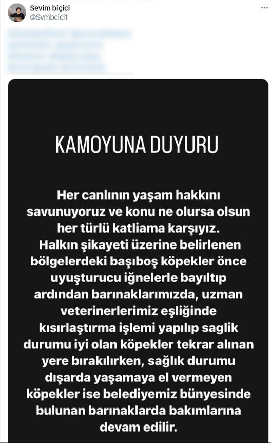 Sahipsiz köpekleri toplayan Silvan Belediyesi tepkilerin ardından paylaşımını sildi! İkinci açıklama hayrete düşürdü Sahipsiz köpekleri toplayan Silvan Belediyesi tepkilerin ardından paylaşımını sildi! İkinci açıklama hayrete düşürdü - 3. Resim