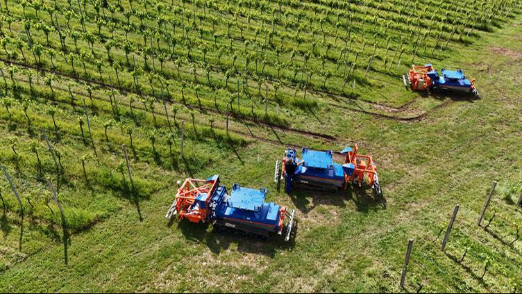İnsansız tarım robotlarıyla dünya pazarına açılıyorlar! İnsansız tarım robotlarıyla dünya pazarına açılıyorlar! - 1. Resim
