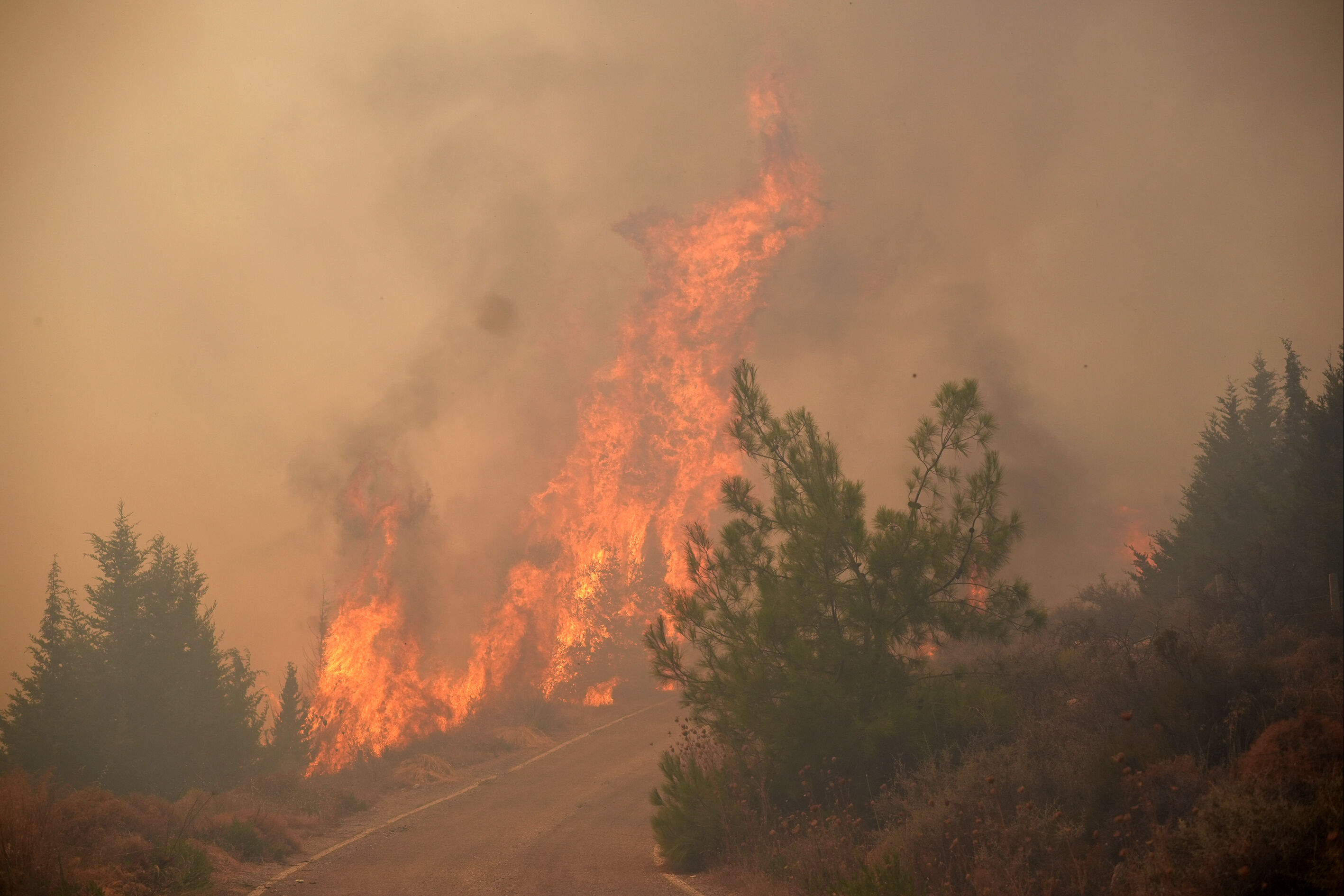 İzmir Urla'da alevler yükseldi! Zeytinliköy ve Çiftlikevler siteleri tahliye edildi - 4. Resim