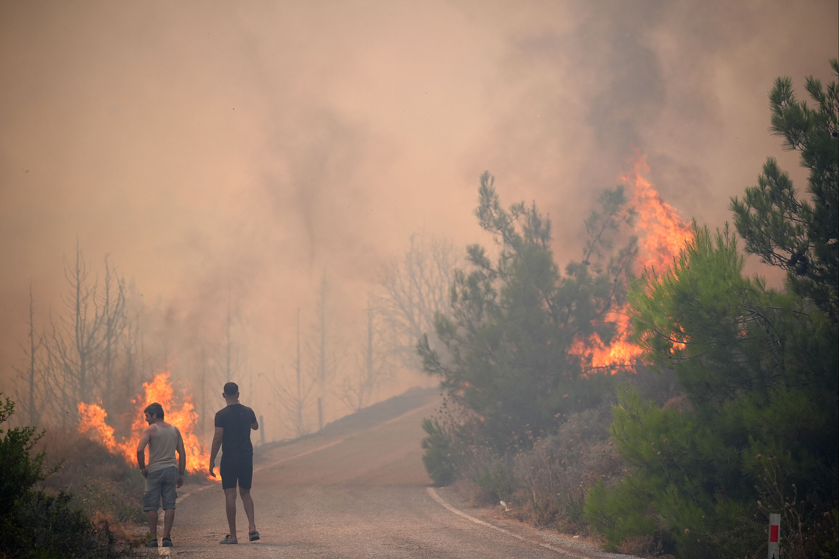İzmir Urla'da alevler yükseldi! Zeytinliköy ve Çiftlikevler siteleri tahliye edildi - 3. Resim