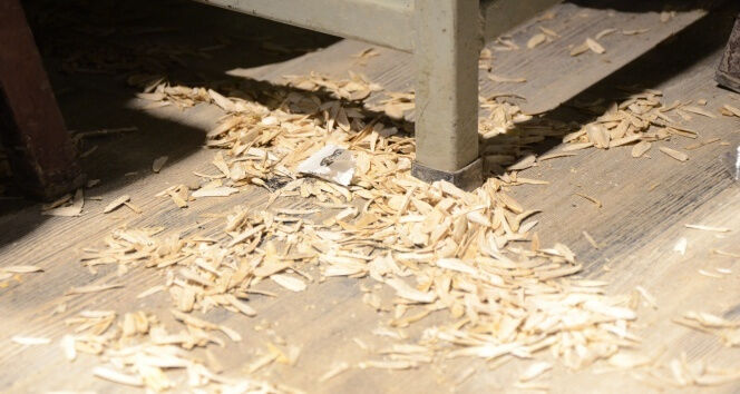 Yere çekirdek kabuğu, izmarit ve çöp atanlara 14 bin lira ceza! Karar vatandaşları ikiye böldü Yere çekirdek kabuğu, izmarit ve çöp atanlara 14 bin lira ceza! Karar vatandaşları ikiye böldü - 2. Resim