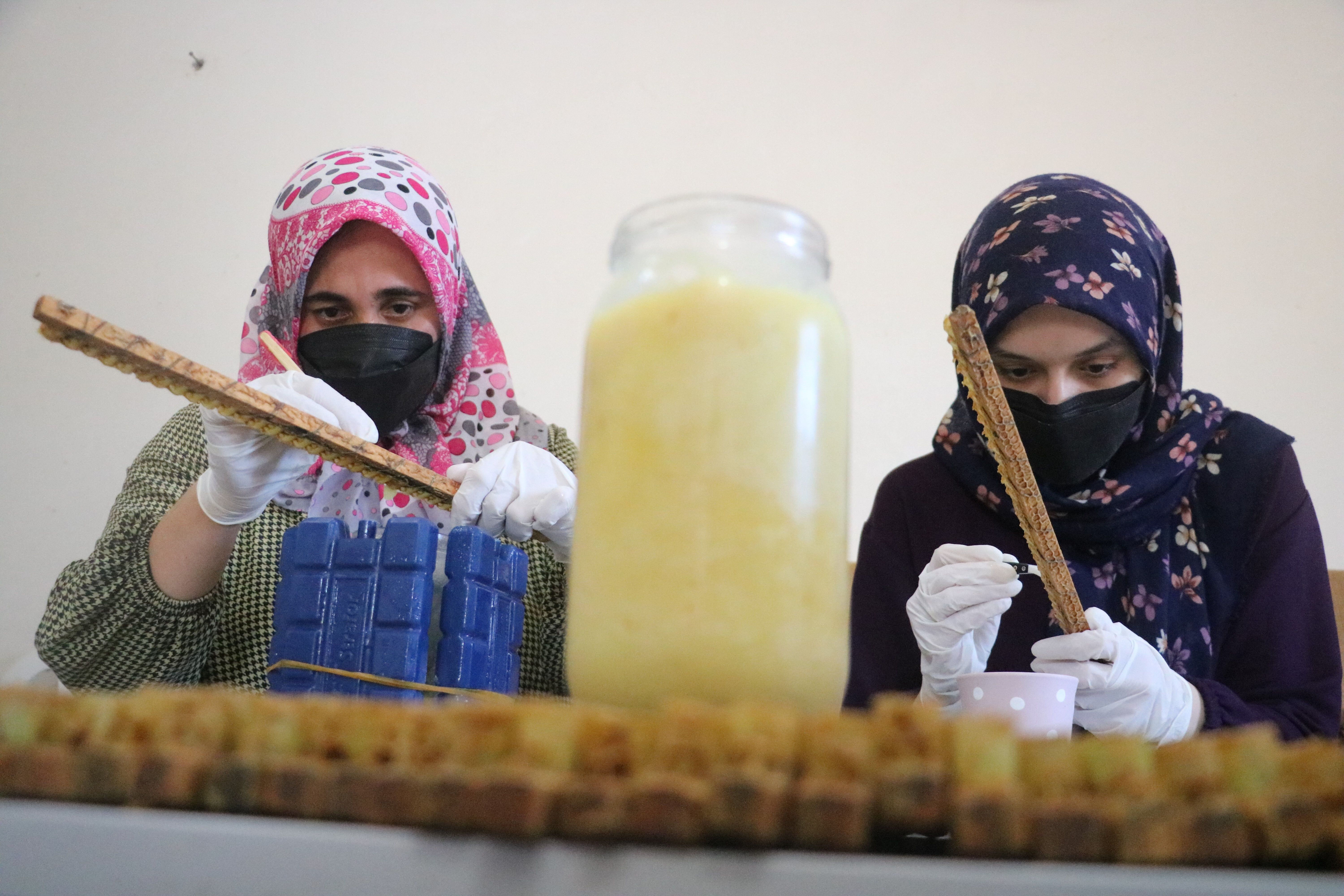 Binbir zahmetle üretilen arı sütünün 100 gramı 2 bin 500 lira Binbir zahmetle üretilen arı sütünün 100 gramı 2 bin 500 lira - 3. Resim