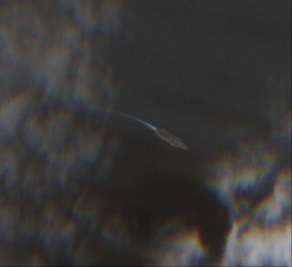 ABD'nin Basra Körfezi'ndeki uçak gemisi Hürmüz Boğazı'na ulaştı - 2. Resim