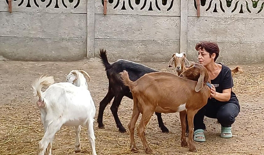 İstanbul'un stresinden kaçtı, köyde hastalığına şifa buldu! ‘Resmen iyileştim’ - 5. Resim