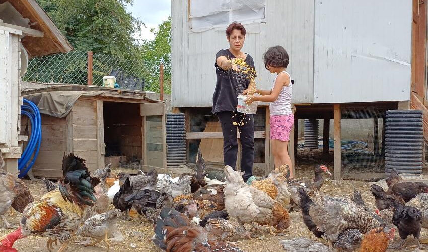 İstanbul'un stresinden kaçtı, köyde hastalığına şifa buldu! ‘Resmen iyileştim’ - 1. Resim