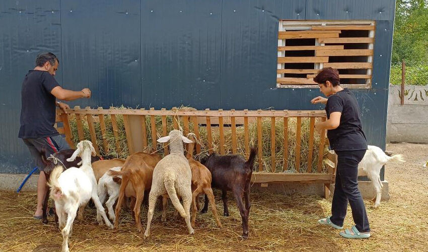 İstanbul'un stresinden kaçtı, köyde hastalığına şifa buldu! ‘Resmen iyileştim’ - 4. Resim