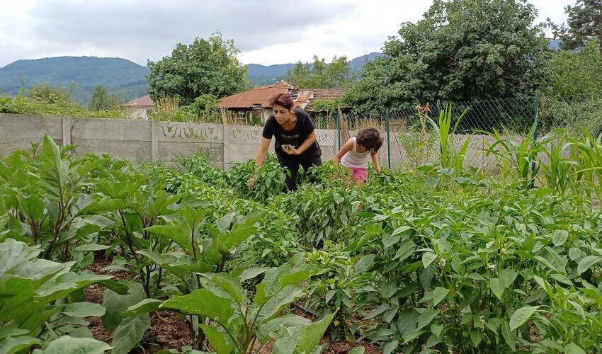 İstanbul'un stresinden kaçtı, köyde hastalığına şifa buldu! ‘Resmen iyileştim’ - 2. Resim