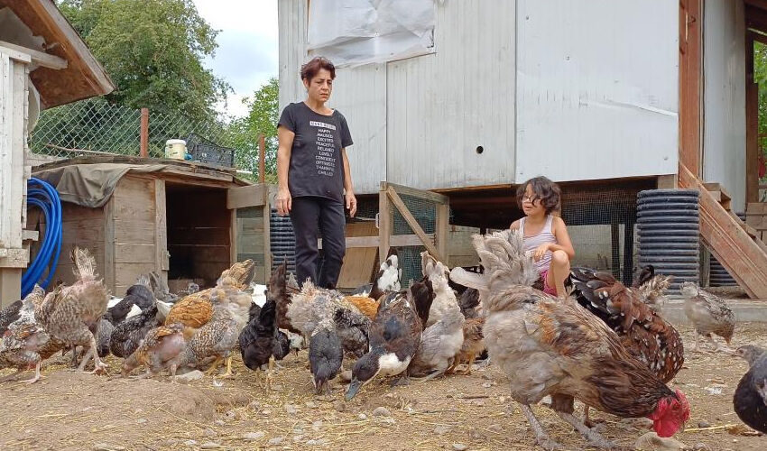 İstanbul'un stresinden kaçtı, köyde hastalığına şifa buldu! ‘Resmen iyileştim’ - 6. Resim