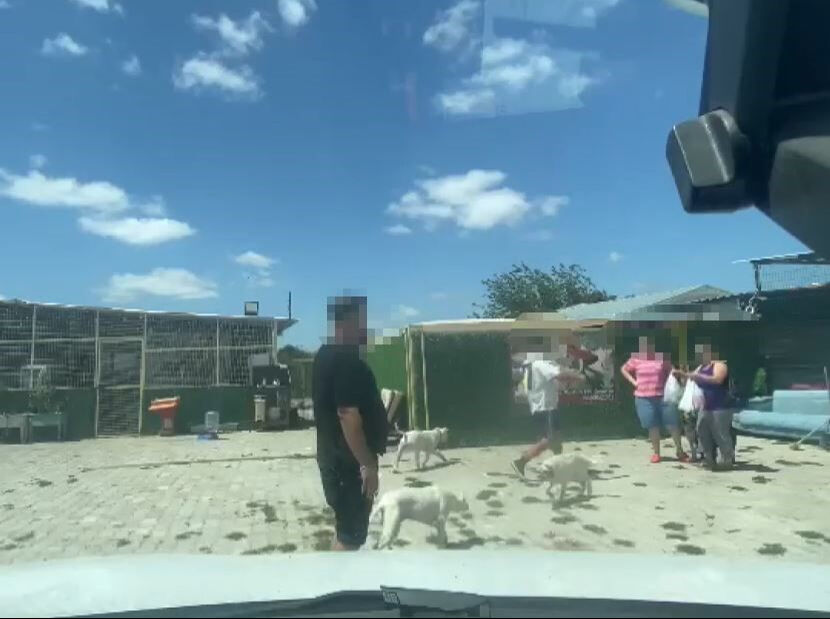 Silivri'deki hayvan barınağına bırakılan hayvanlar hakkında şoke eden gerçek - 2. Resim