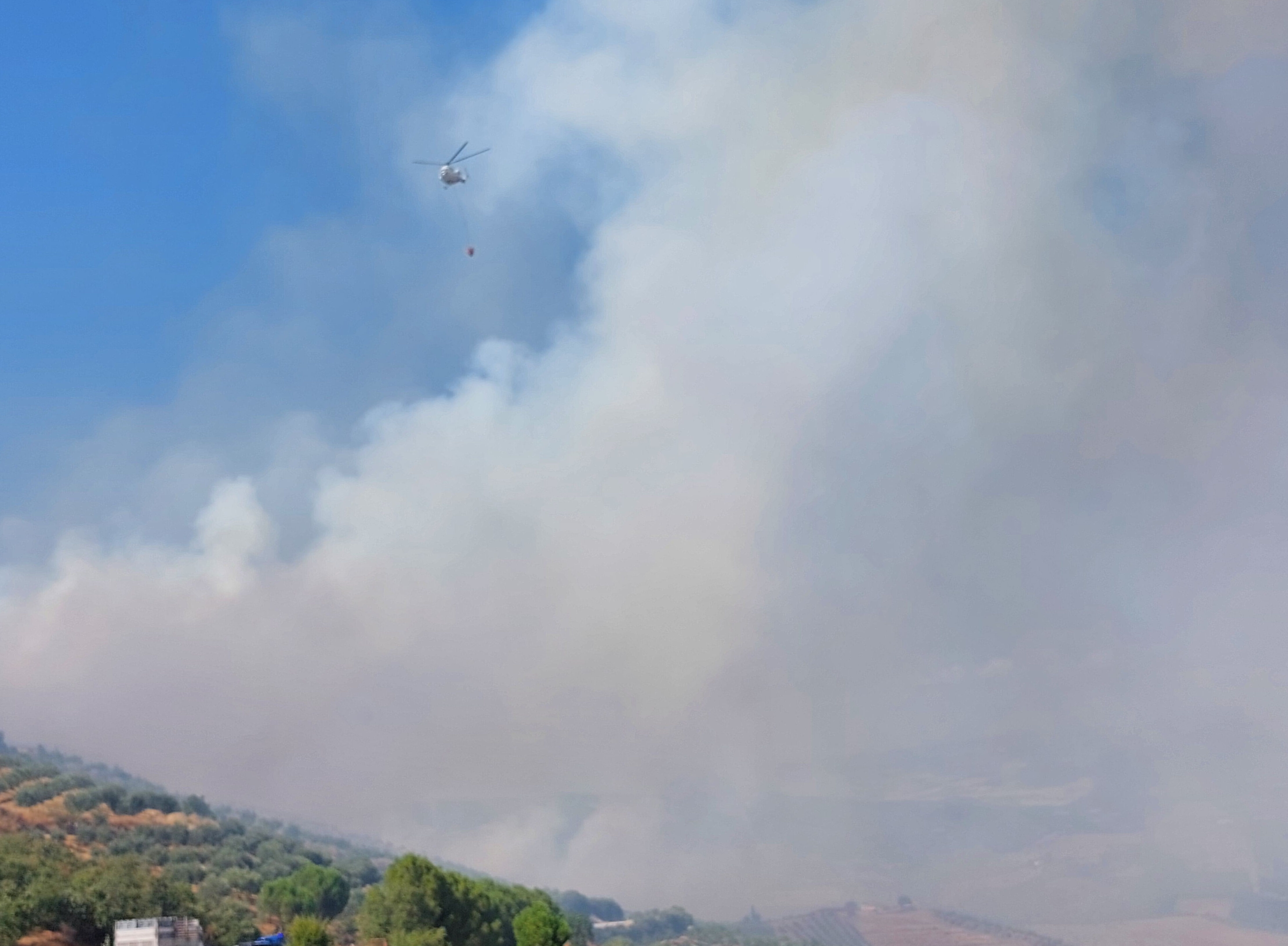 Manisa'nın Salihli ilçesinde orman yangını! Ekipler müdahale ediyor - 1. Resim
