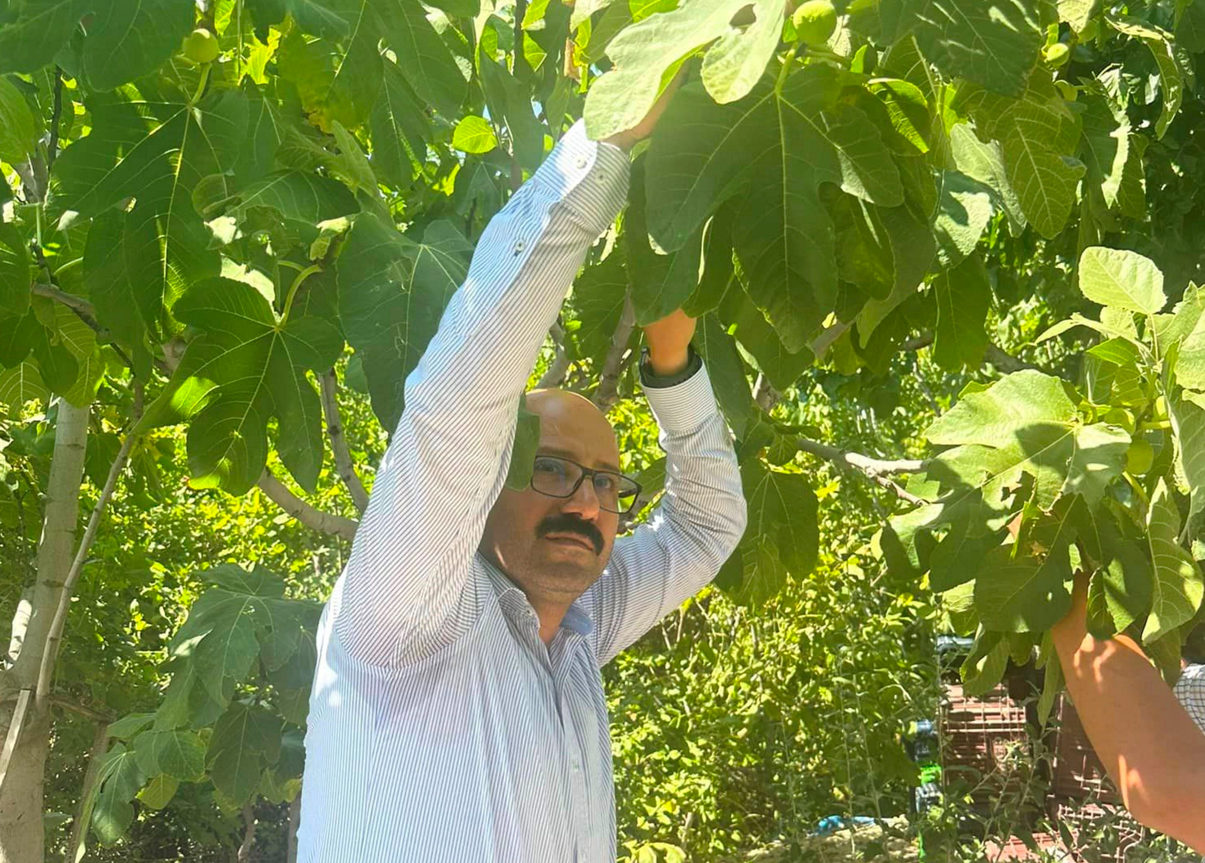 Tarlada kilosu 80 lira! Üreticiler bayram ediyor: Emeğimizin karşılığını fazlasıyla alıyoruz Tarlada kilosu 80 lira! Üreticiler bayram ediyor: Emeğimizin karşılığını fazlasıyla alıyoruz - 1. Resim