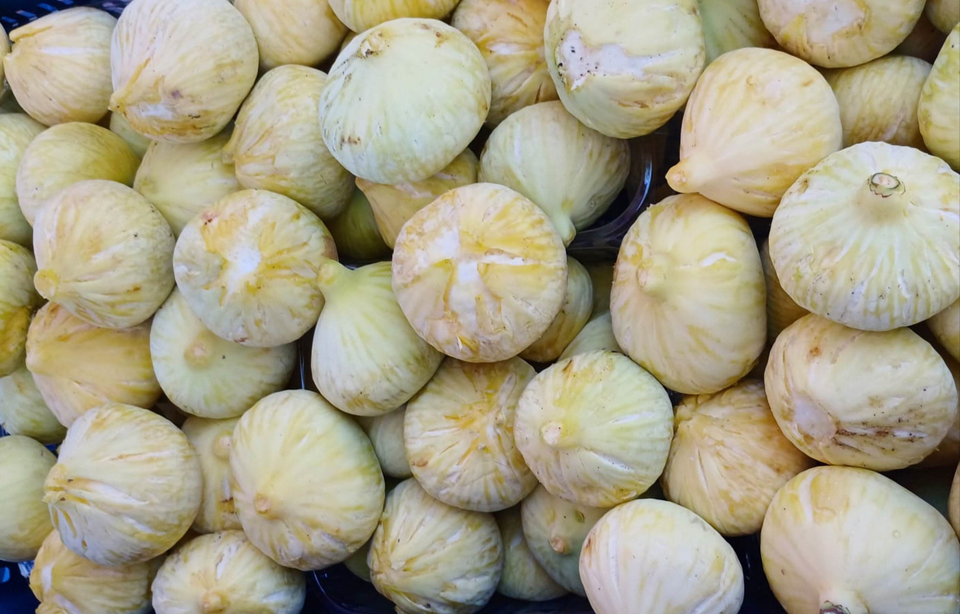 Tarlada kilosu 80 lira! Üreticiler bayram ediyor: Emeğimizin karşılığını fazlasıyla alıyoruz Tarlada kilosu 80 lira! Üreticiler bayram ediyor: Emeğimizin karşılığını fazlasıyla alıyoruz - 2. Resim