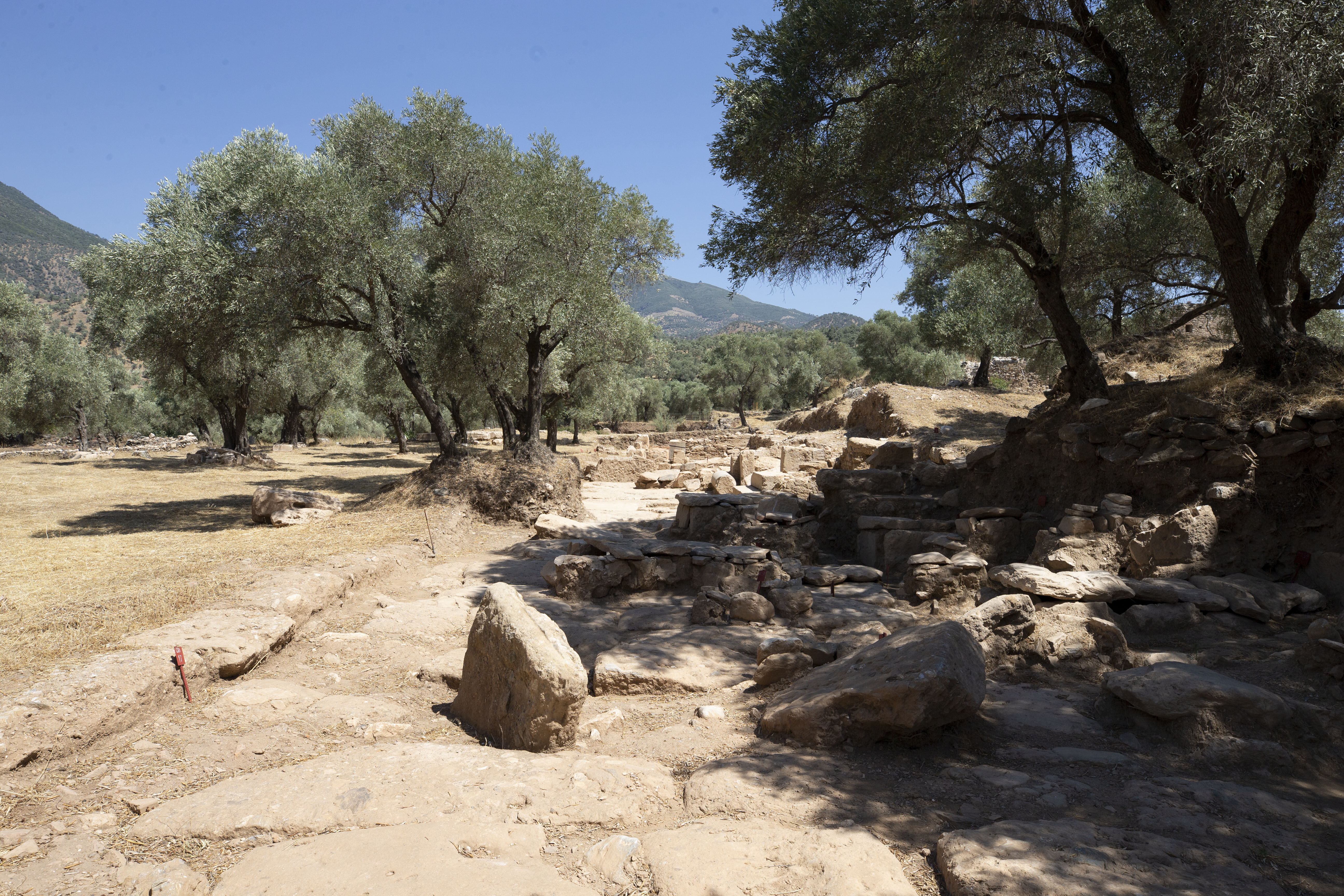 Aydın Nysa Antik Kenti'nde 1000 yıllık 47 mezar bulundu - 2. Resim