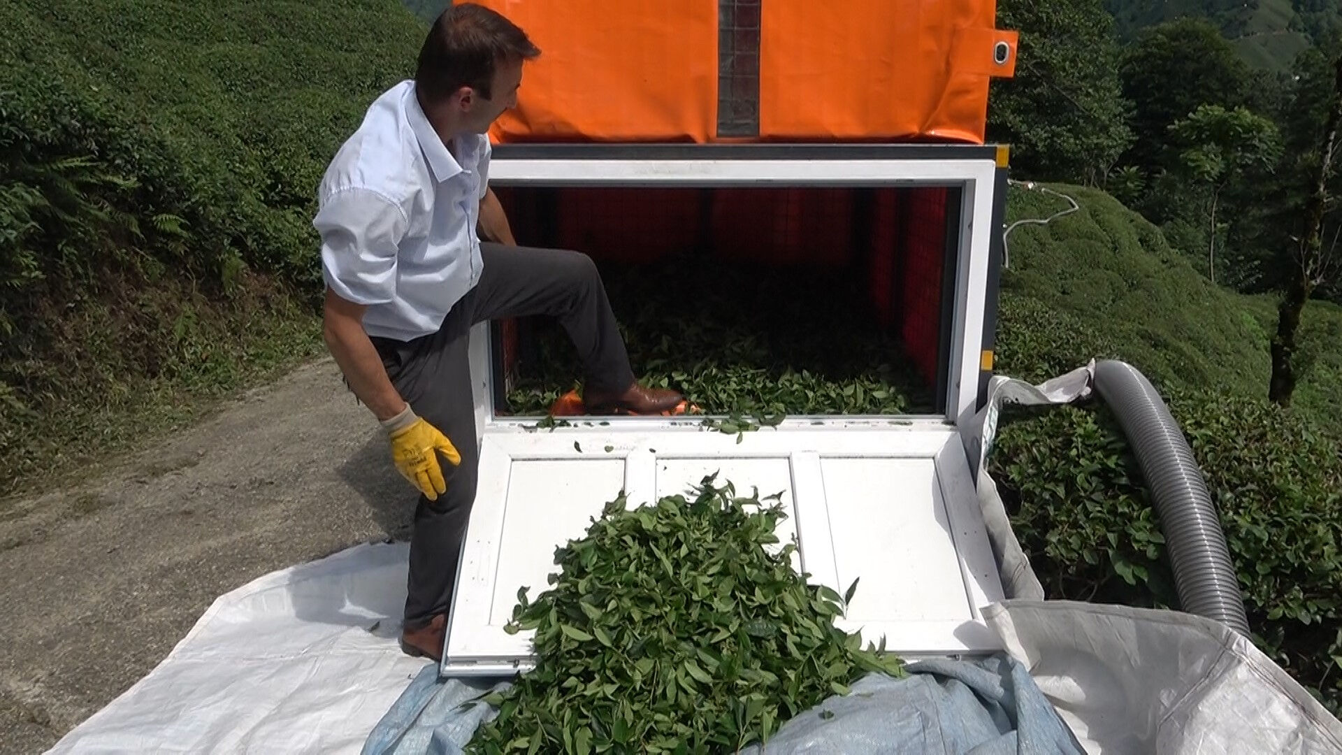 Çay toplamayı kolaylaştıran Rizeli şimdi de taşıma problemini çözdü! Cihazı üreticilerin ilgisini çekiyor - 4. Resim