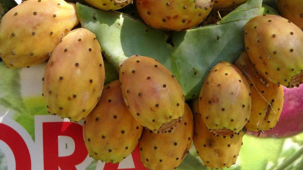 Doğada kendiliğinden yetişiyor: Bağırsakları motor gibi, kalbi tıkır tıkır çalıştırıyor - 1. Resim