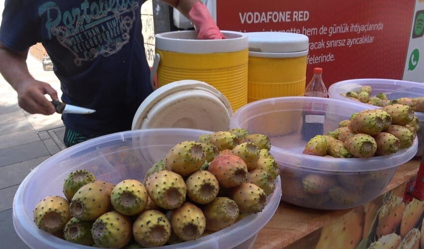 Doğada kendiliğinden yetişiyor: Bağırsakları motor gibi, kalbi tıkır tıkır çalıştırıyor - 2. Resim