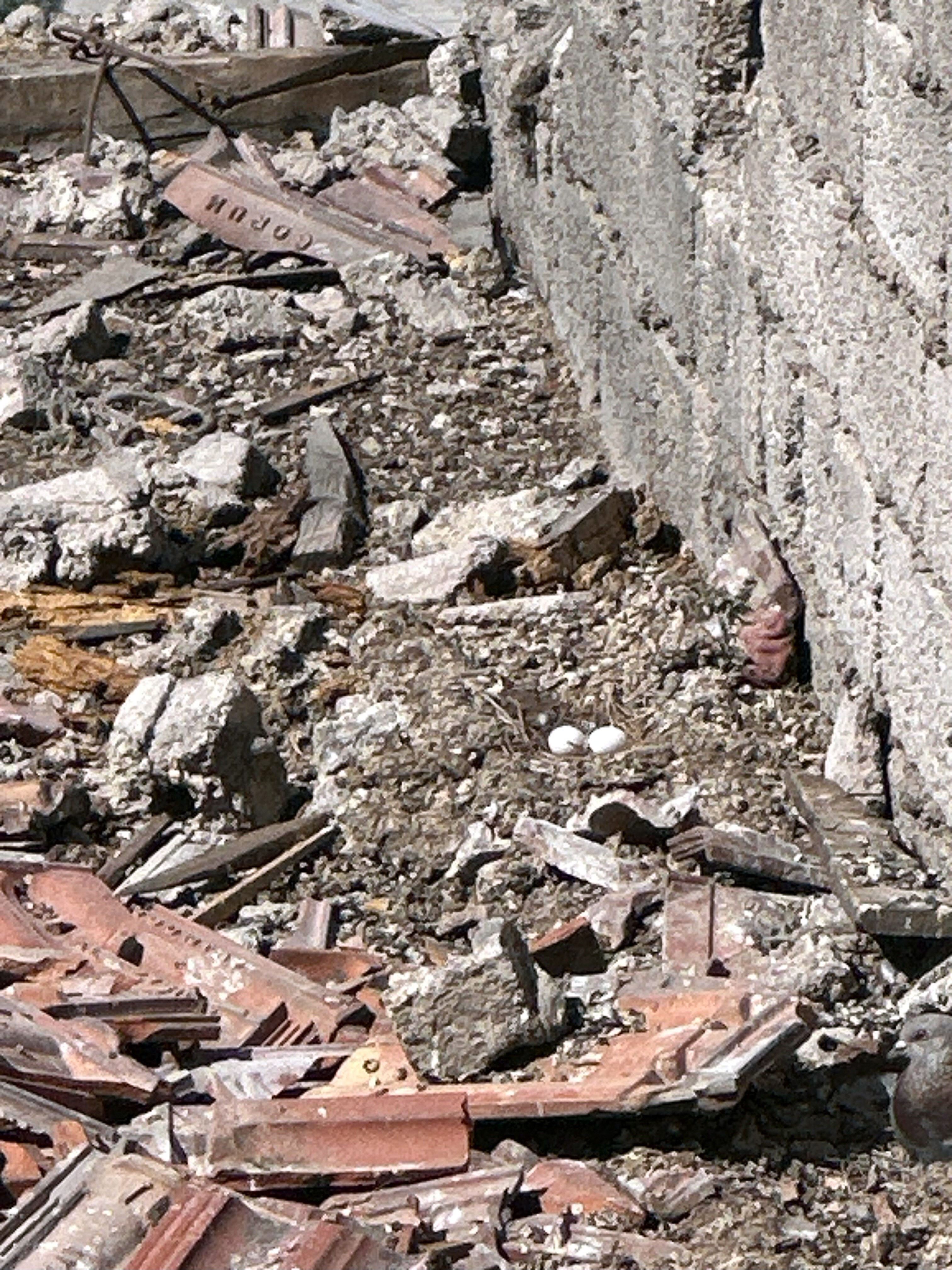 Kayseri'de yıkım esnasında buldular! Apar topar inşaatı durdurdular - 1. Resim