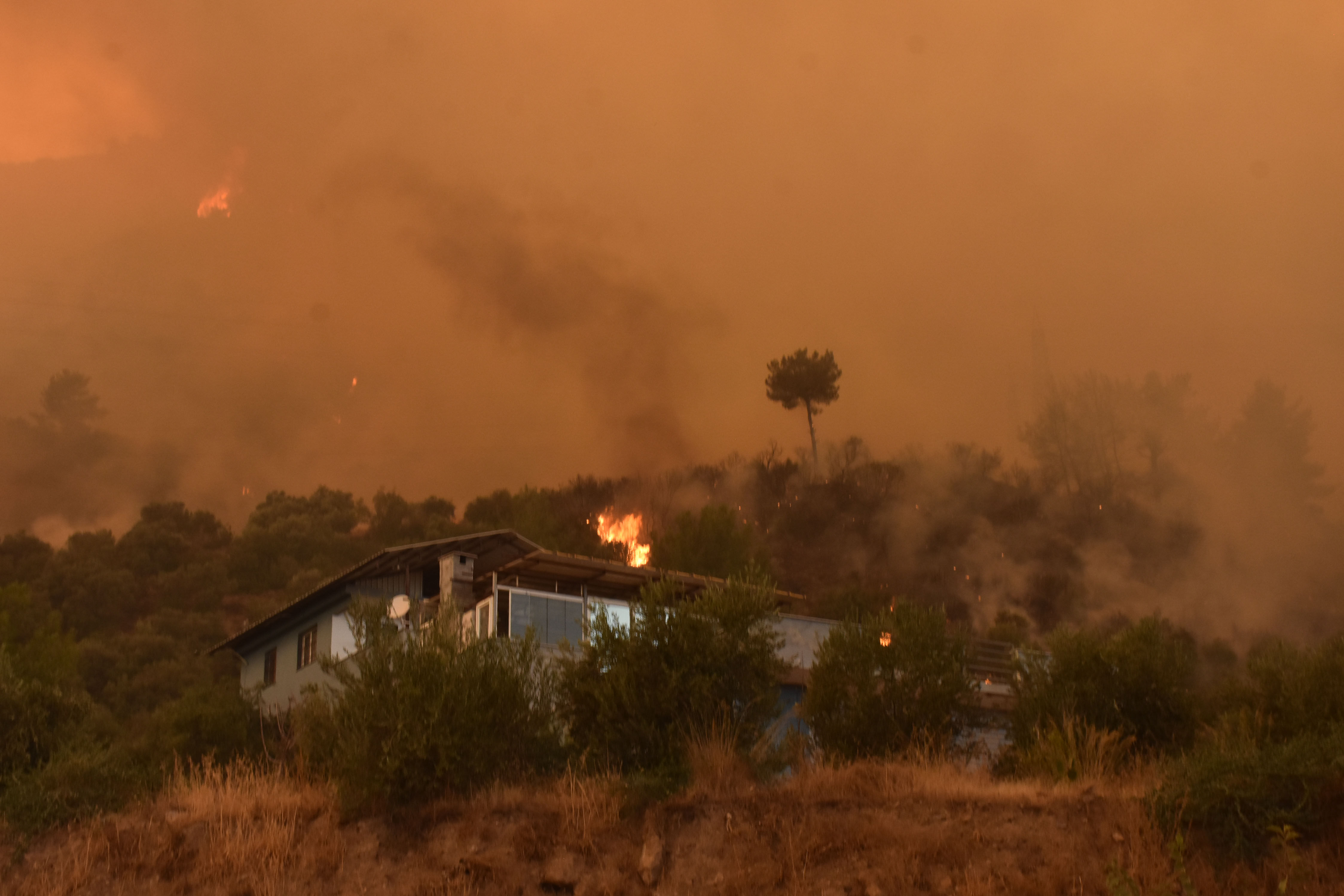 Aydın, Muğla ve Bingöl'de çıkan orman yangınları korku saçıyor! Alevler rüzgarla büyüdü - 2. Resim