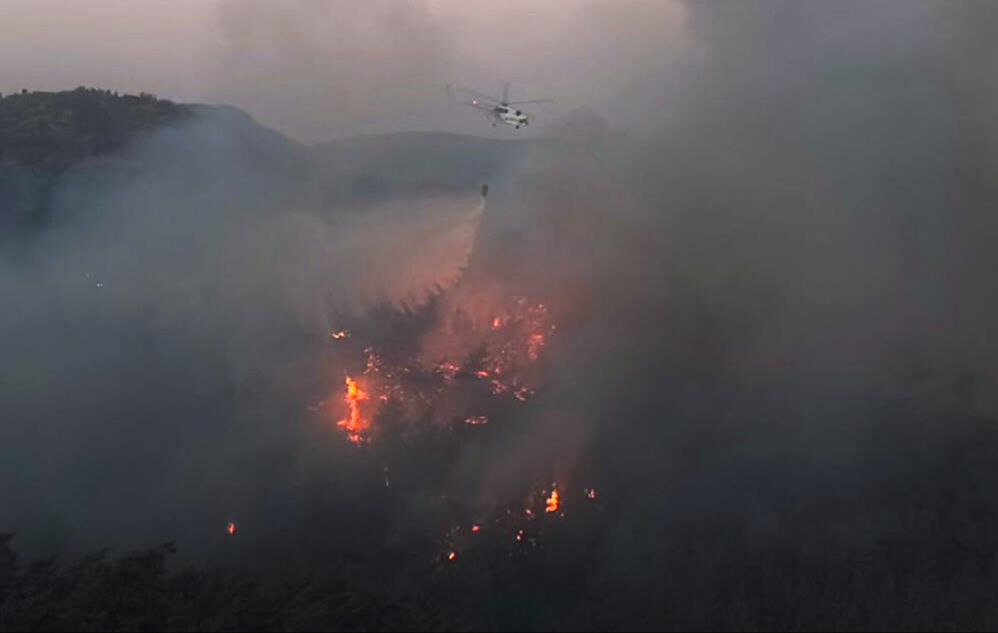 Aydın, Muğla ve Bingöl'de çıkan orman yangınları korku saçıyor! Alevler rüzgarla büyüdü - 1. Resim